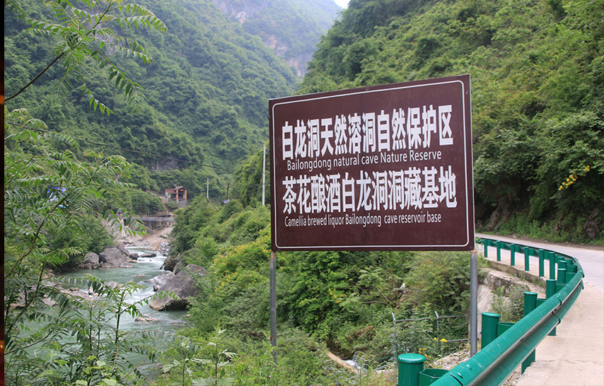 陜西茶花釀