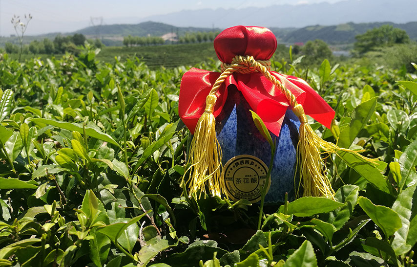 綠茶酒代理