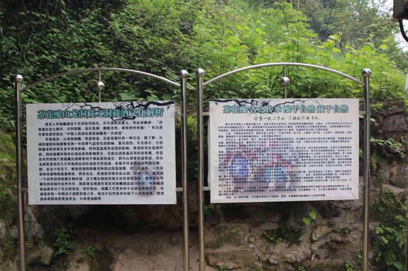陜西茶花釀