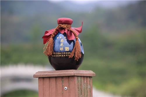 陜西茶酒