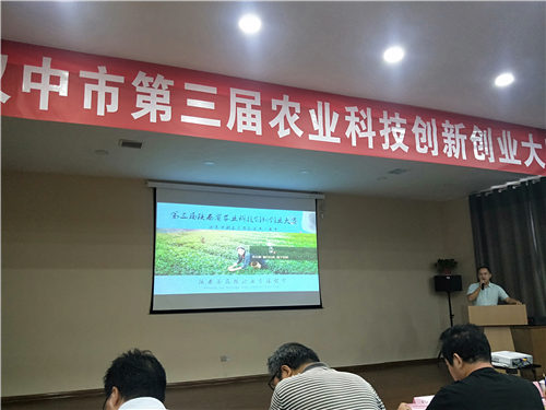 陜西茶花釀銷售