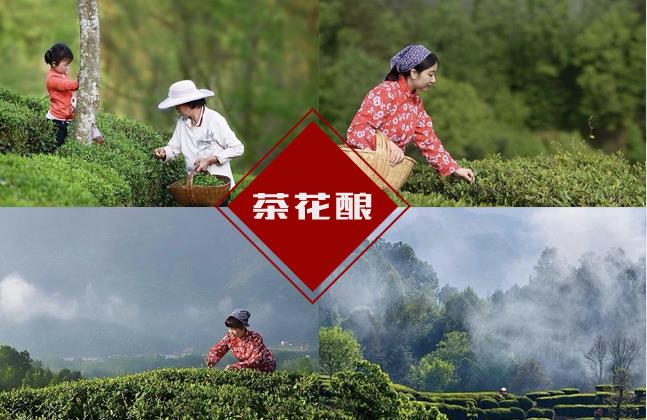 一碗茶花釀，品味一種生活方式